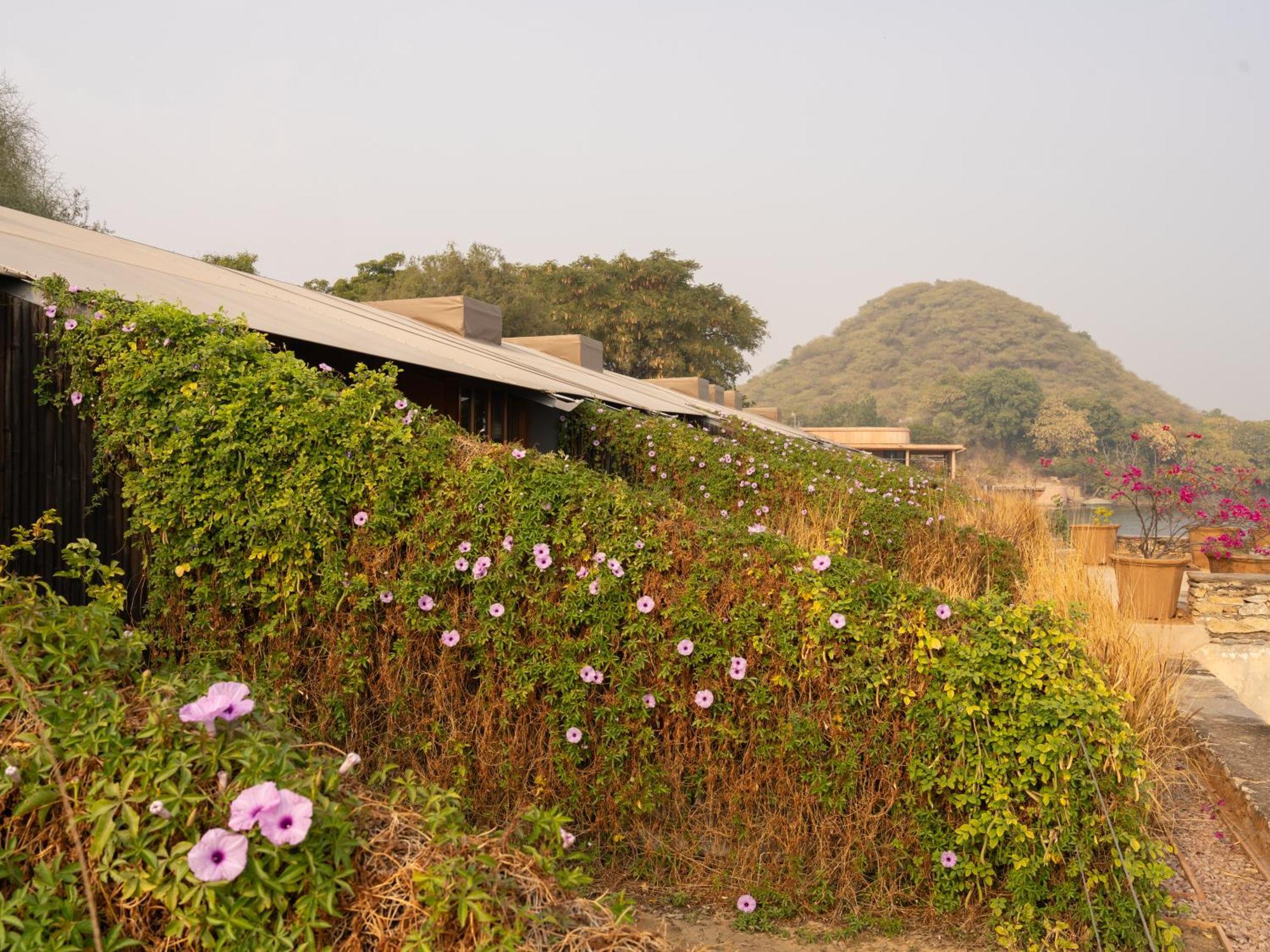 Raas Chhatrasagar, Nimaj, District Pali Exteriér fotografie